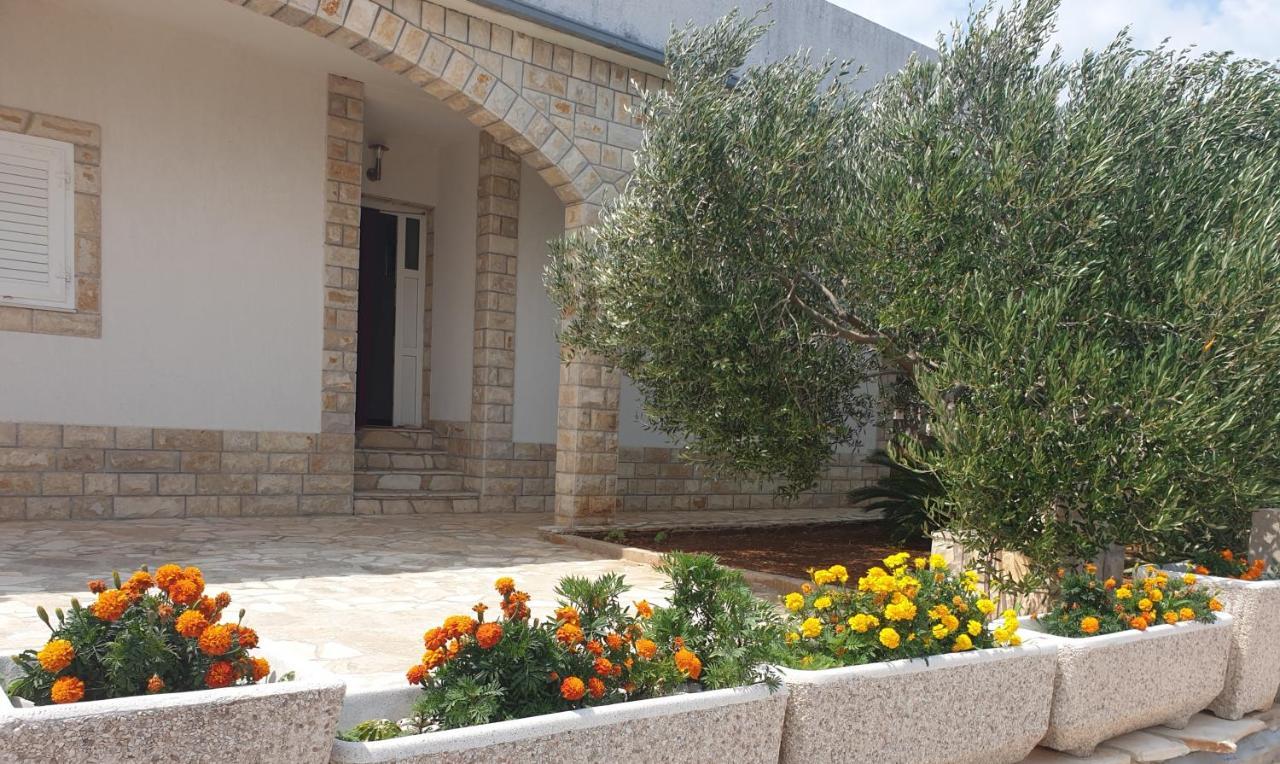 Villa Senka Necujam Ngoại thất bức ảnh